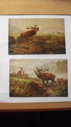 Dieren Ansichtkaarten-Ch.Kroner, Verzenden, Ongelopen, Overige thema's