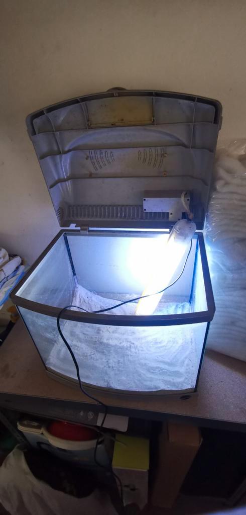 Superfish aqua 60 aquarium met wat werk, Dieren en Toebehoren, Vissen | Aquaria en Toebehoren, Gebruikt, Leeg aquarium, Ophalen