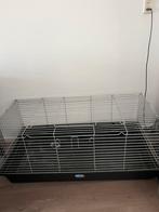 Knaagdieren hok, Dieren en Toebehoren, Minder dan 60 cm, Minder dan 75 cm, Ophalen of Verzenden, Zo goed als nieuw