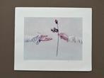 Ans Markus genummerde litho roos, Antiek en Kunst, Ophalen of Verzenden