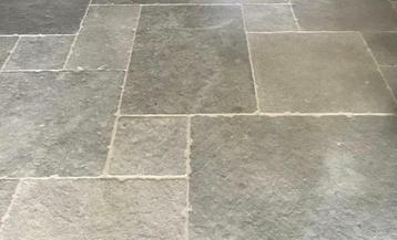 BOURGONDISCHE DALLEN GREY MIX beschikbaar voor biedingen