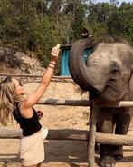 Dierenoppas, Komt aan huis, Oppas