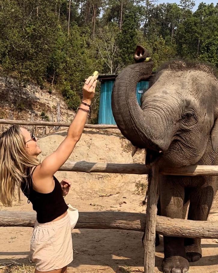 Dierenoppas, Diensten en Vakmensen, Dieren | Overige | Verzorging, Oppas en Les, Oppas, Komt aan huis