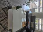 Salontafel woonkamer meubelen, Huis en Inrichting, Tafels | Salontafels, Ophalen, Gebruikt, 100 tot 150 cm, 50 tot 100 cm