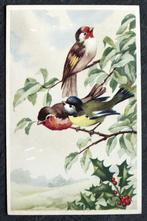 Putter-lookalike en pimpelmees in overleg, 1955, Verzenden, 1940 tot 1960, Gelopen, Vogel