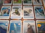 Compleet (204) super dieren AH plaatjes album doeboek WNF, Boeken, Ophalen of Verzenden, Nieuw, Carice van houten, Plaatjesalbum