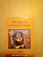 Van pup tot volwassen hond - Jo Lubbers, Ophalen of Verzenden, Zo goed als nieuw, Honden, Jo Lubbers
