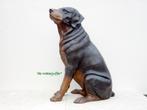 015* Bronzen Hond zittend (Boven €75 geen verzendkosten), Nieuw, Overige materialen, Ophalen of Verzenden, Dierenbeeld