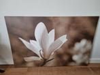 Ikea canvas magnolia, Huis en Inrichting, Woonaccessoires | Schilderijen, Tekeningen en Foto's, Ophalen, Zo goed als nieuw, Schilderij