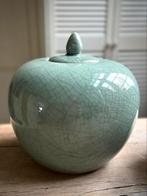 Grote Oosterse Celadon craquelé gemberpot / pot, Huis en Inrichting, Woonaccessoires | Vazen, Overige kleuren, Aardewerk of Porselein