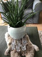 Schitterende handgemaakte glaasjes! Kijk naar de voetjes!!!, Ophalen of Verzenden, Zo goed als nieuw, Borrel- of Shotglas