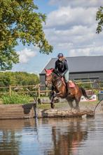 Super brave merrie te koop, Dieren en Toebehoren, Paarden en Pony's | Overige Paardenspullen, Ophalen, Dressuur
