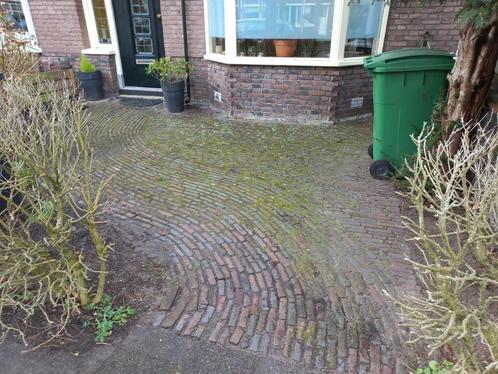 Streets2clean keeps it clean, Diensten en Vakmensen, Tuinmannen en Stratenmakers, Bestrating, Tuinonderhoud of Snoeiwerk