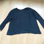 Donkerblauwe trui maat L, Ophalen of Verzenden, Gedragen, Maat 42/44 (L), Blauw