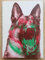 SAGMEISTER made you look - Peter Hall (Engelstalig), Ophalen of Verzenden