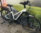 E BIKE! Pegasus Premio Evo 5 Elektrische fiets + 625WH Accu, Fietsen en Brommers, Elektrische fietsen, Overige merken, Ophalen of Verzenden