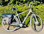 Giant Twist double heren e-bike (incl 2 goede accu), Fietsen en Brommers, Elektrische fietsen, Ophalen, Gebruikt, Giant, 47 tot 51 cm