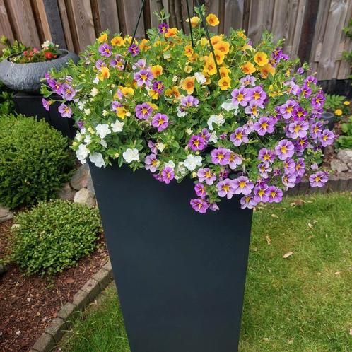 1 chique bloembak Hoogte 100 cm vierkant zwart zgan, Tuin en Terras, Bloembakken en Plantenbakken, Zo goed als nieuw, Binnen, Minder dan 60 cm