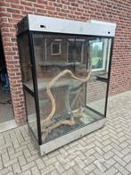 Terrarium 150 bij 70 en 204 hoog, Ophalen, Zo goed als nieuw, Terrarium of Paludarium