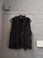 GILET / BODYWARMER ECHT BONT ZWART MAAT M NIEUW, Ophalen of Verzenden, Nieuw, Maat 38/40 (M), Zwart