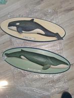 Orka Orca walvis wandbord, Ophalen of Verzenden, Zo goed als nieuw, Overige soorten, Overige typen