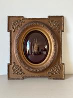 Cynopterus Minutus vleermuis, Ophalen of Verzenden