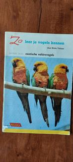 RIZLA+ Zo leer je vogels kennen, Antiek en Kunst, Antiek | Boeken en Bijbels, Ophalen of Verzenden, Rinke Tolman