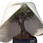 Beschermhoes olijfboom, warmtekabel,, Tuin en Terras, Schaduwdoeken, Ophalen, Nieuw