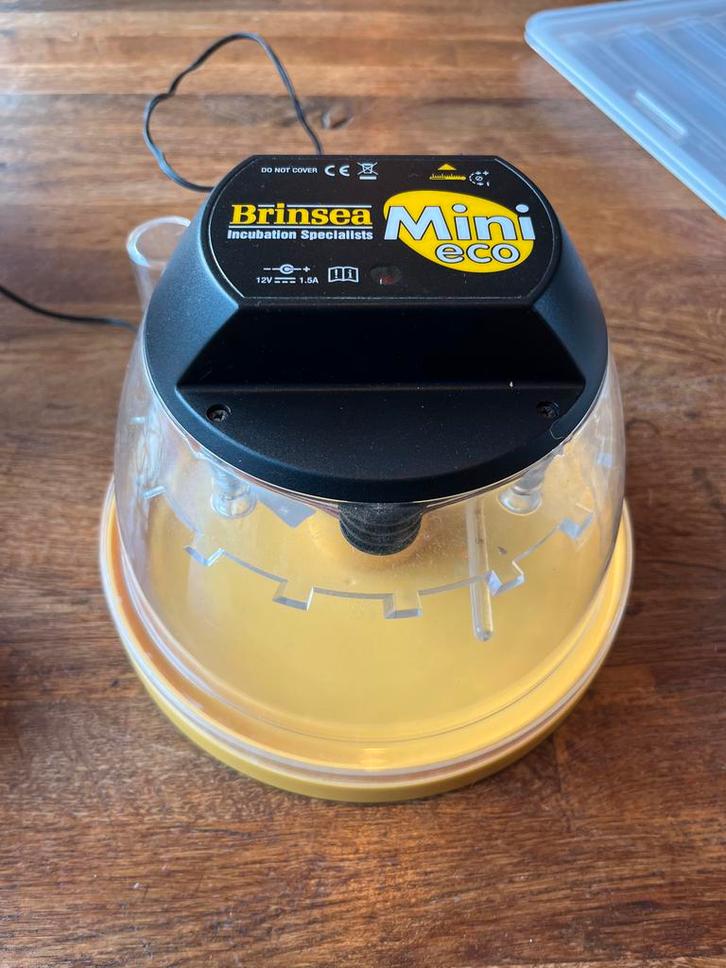 Brinsea mini eco broedmachine / incubator, Dieren en Toebehoren, Pluimvee, Kip, Geslacht onbekend