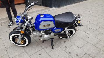 Skyteam Gorilla 125 cc ca 1200 km origineel  1200 euro  beschikbaar voor biedingen