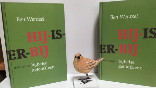 Wentsel, Ben; Hij is er bij (2 delen), Boeken, Godsdienst en Theologie, Gelezen, Christendom | Katholiek, Christendom | Protestants