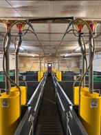 Stalinrichting vleesvarkens + Groba voerbak, Dieren en Toebehoren, Schapen, Geiten en Varkens, Meerdere dieren, Varken