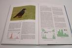 Vogels in Groningen — Overzicht van Alle 414 Soorten, Ophalen of Verzenden, Zo goed als nieuw, Vogels