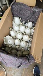 lampen (alles bij elkaar),  400W HPL-N Philips, Ophalen, Zo goed als nieuw