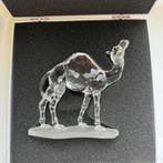 Swarovski - Dromedaris met doos!, Ophalen of Verzenden, Zo goed als nieuw, Figuurtje