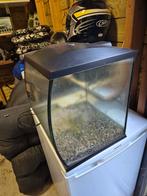 Aquarium 50 liter, Dieren en Toebehoren, Vissen | Aquaria en Toebehoren, Ophalen, Zo goed als nieuw, Leeg aquarium