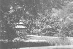 963404	Velsen	gem Wandelpark Velserbeek	Mooie Oude kaart onb, Verzamelen, Ansichtkaarten | Nederland, Ophalen of Verzenden, Ongelopen