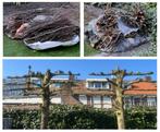 gratis snoeihout ophalen, Ophalen