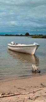 RYDS 4,60 vis,plezier,console boot met Johnson 8pk 4-takt, Watersport en Boten, Motorboten en Motorjachten, Gebruikt, Ophalen of Verzenden