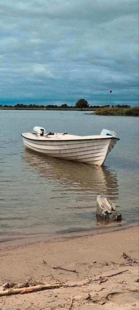 RYDS 4,60 vis,plezier,console boot met Johnson 8pk 4-takt, Watersport en Boten, Motorboten en Motorjachten, Gebruikt, Polyester