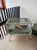 Zolux Neolife 80 (Dwerg)hamsterkooi  - 78x48x75 cm + extra’s, Dieren en Toebehoren, Knaagdieren en Konijnen | Hokken en Kooien