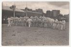Fotokaart.  Paarden.  Concours Central Hippique., Verzenden, 1920 tot 1940, Ongelopen, Overige thema's