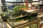 Gezocht: Aquarium voor waterschildpad, Ophalen, Leeg aquarium