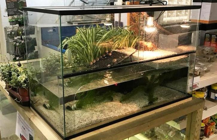 Gezocht: Aquarium voor waterschildpad, Dieren en Toebehoren, Vissen | Aquaria en Toebehoren, Leeg aquarium, Ophalen