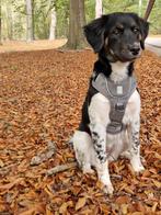 EXPLOR ultimate fit hondentuig maat S, Ophalen of Verzenden, Zo goed als nieuw