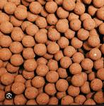 Boilies te koop een kilo 16 mm aardbij of krill, Watersport en Boten, Hengelsport | Karpervissen, Ophalen of Verzenden, Nieuw