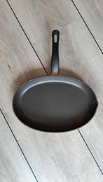 Pan voor vis, Overige materialen, Gebruikt, Keramische plaat, Ophalen of Verzenden