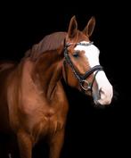 Bijrijder gezocht min 18 jaar, Ophalen of Verzenden