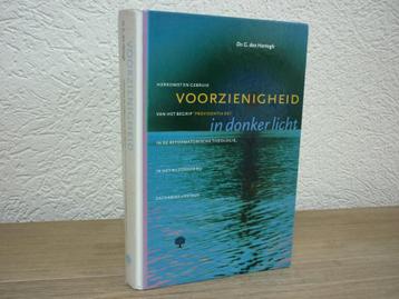 Dr. G. den Hartogh - Voorzienigheid in donker licht beschikbaar voor biedingen