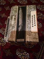 Russisch naam, Muziek en Instrumenten, Accordeons, Ophalen of Verzenden, Gebruikt, Overige merken